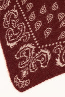HOLLIS // driehoek sjaal paisley burgundy